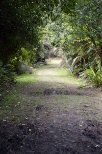 Coach Road Today